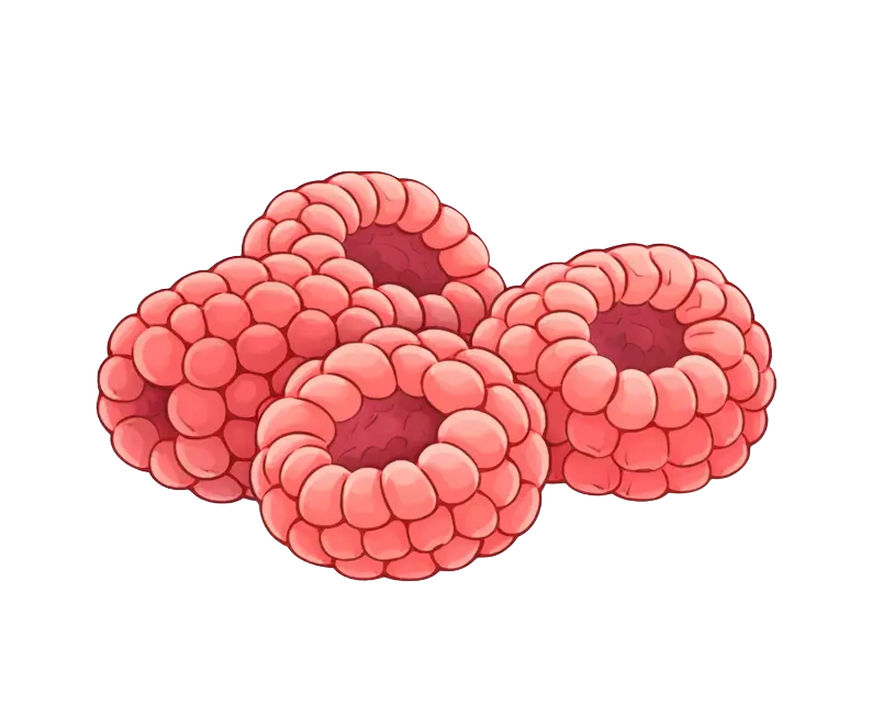Natürliche Lebensmittel zur Unterstützung des Immunsystems